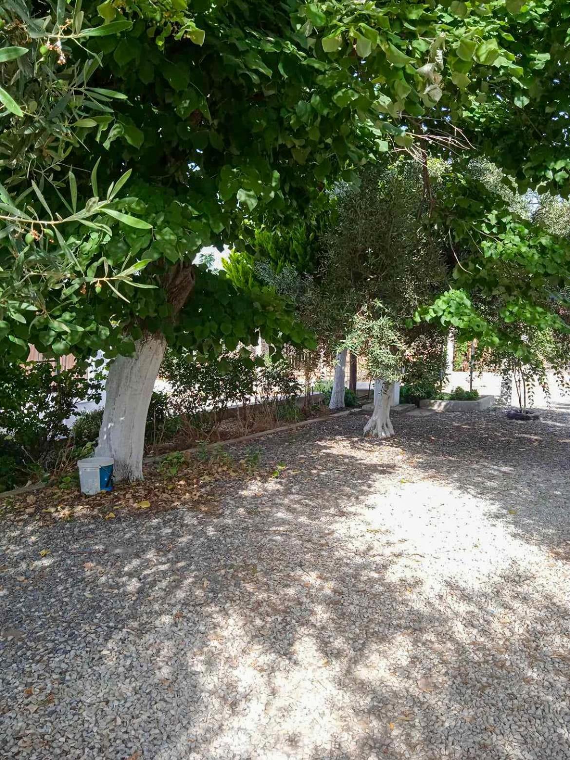 Κυανή Ακτή - Agia Paraskevi Макри Екстериор снимка