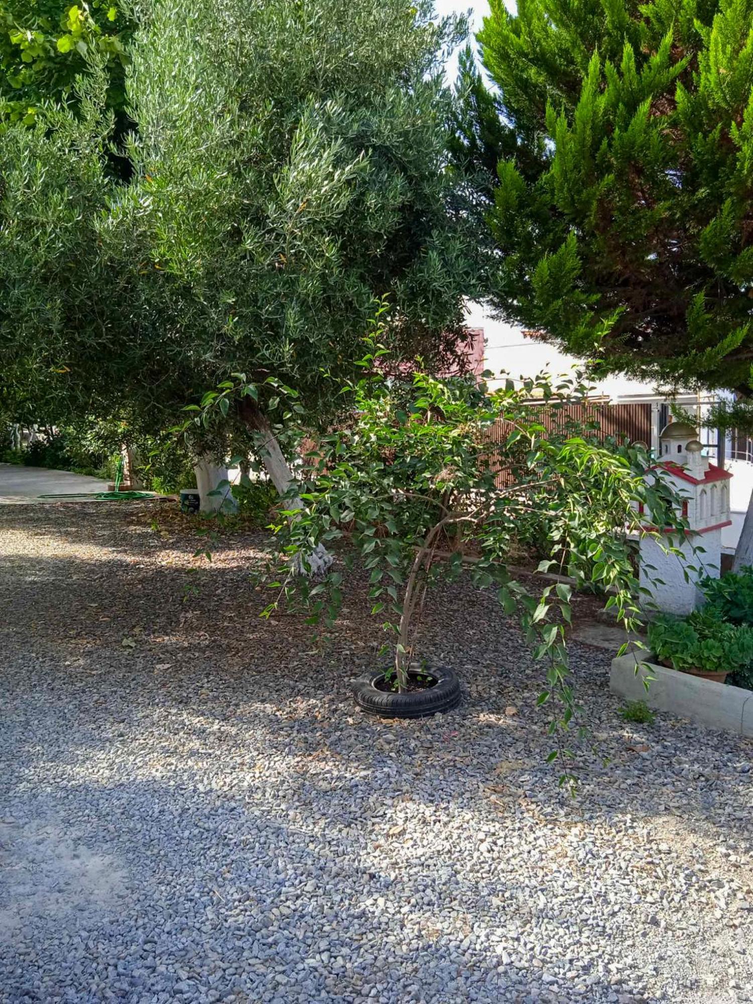 Κυανή Ακτή - Agia Paraskevi Макри Екстериор снимка